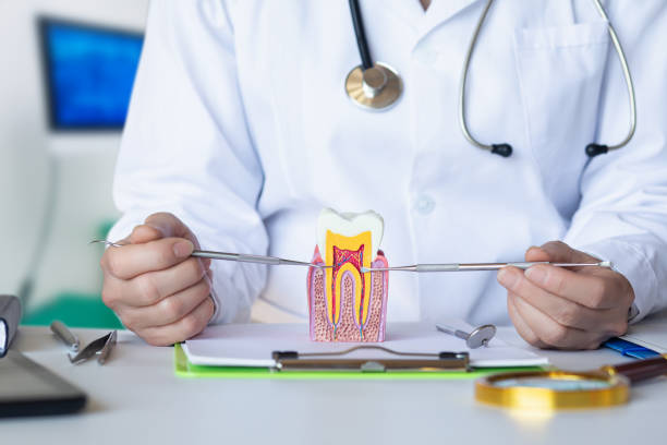 Best Emergency Dentist for Knocked-Out Tooth in Westhaven Moonstone, CA